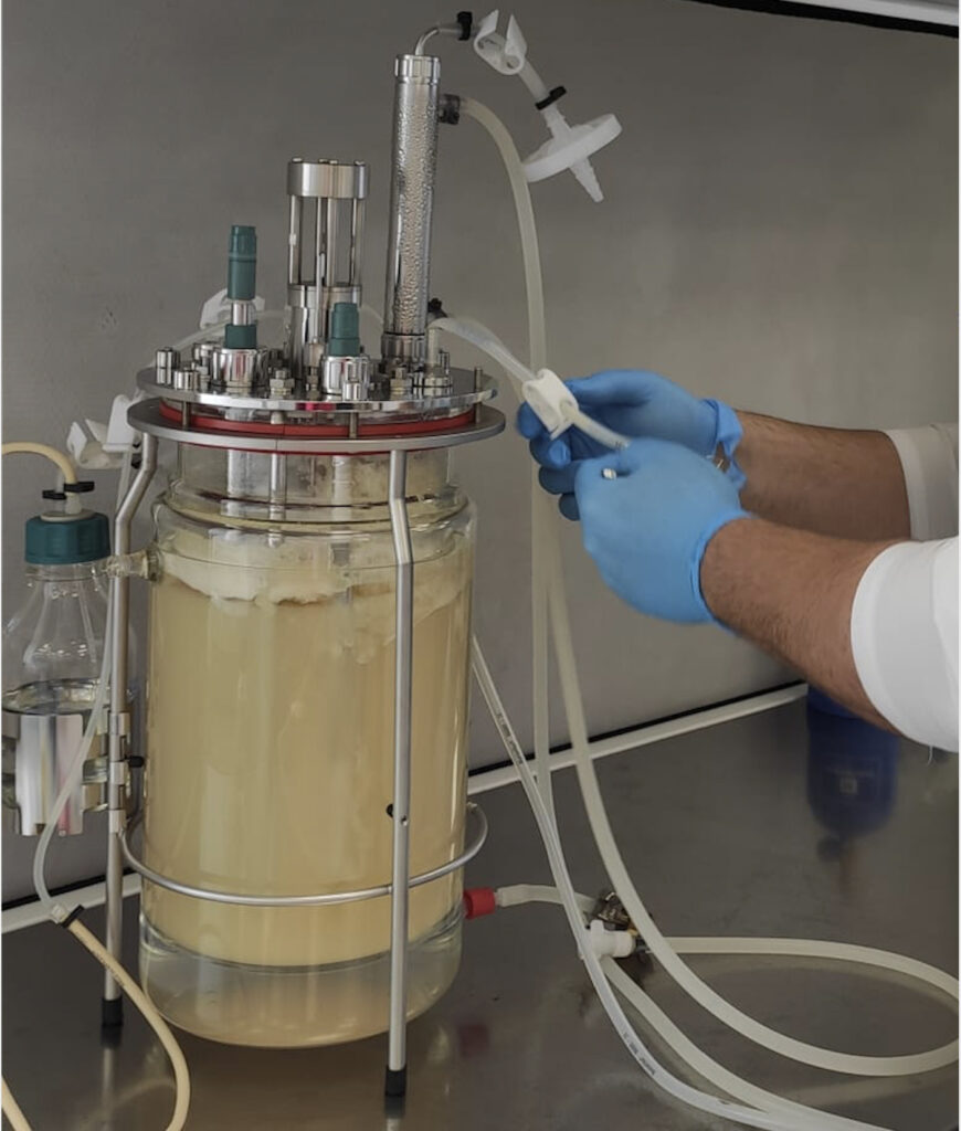 Terra Biomedical bioreactor
